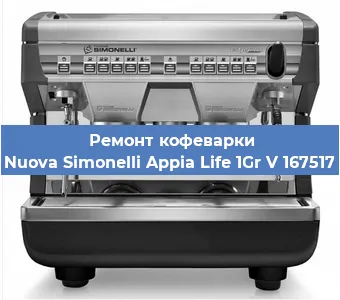 Ремонт капучинатора на кофемашине Nuova Simonelli Appia Life 1Gr V 167517 в Ижевске